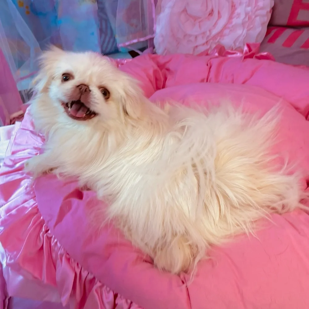 Fairytale Dreams Pink Ruffled Pet Bed